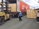Thị trường pallet gỗ tại Việt Nam