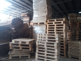 Mua Pallet tại Bình Dương