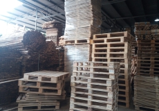 Mua Pallet tại Bình Dương