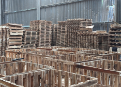 PALLET GỖ THIÊN MINH 