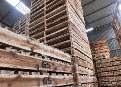 PALLET GỖ THIÊN MINH 