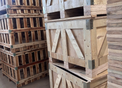 PALLET GỖ THIÊN MINH 