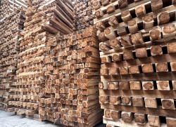 PALLET GỖ THIÊN MINH 