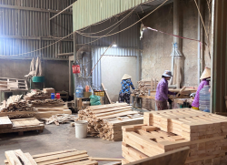 PALLET GỖ THIÊN MINH 