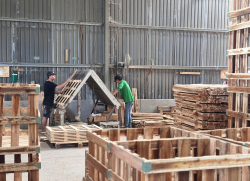PALLET GỖ THIÊN MINH 