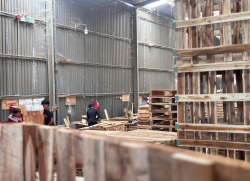 PALLET GỖ THIÊN MINH 