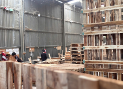 PALLET GỖ THIÊN MINH 