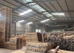 PALLET GỖ THIÊN MINH 