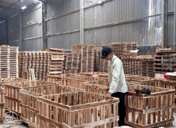 PALLET GỖ THIÊN MINH 