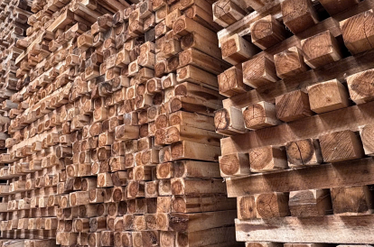 Thị trường pallet gỗ Việt Nam 2025: Tiềm năng và xu hướng nổi bật