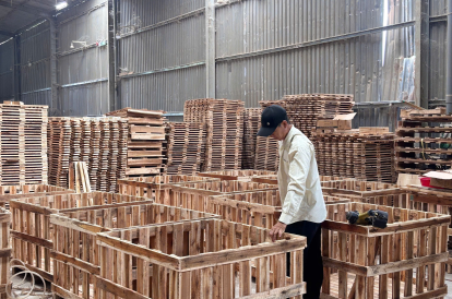 Pallet Gỗ Tái Chế: Xu Hướng Tất Yếu Trong Chuỗi Cung Ứng Xanh